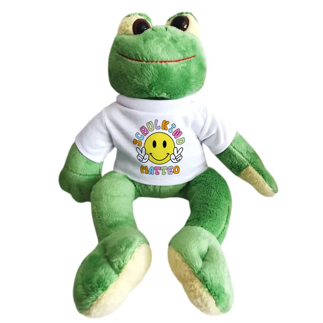 geschenke364-kuscheltiere-frosch-schulkind-mit-name-19-cm-pl-sch image 1