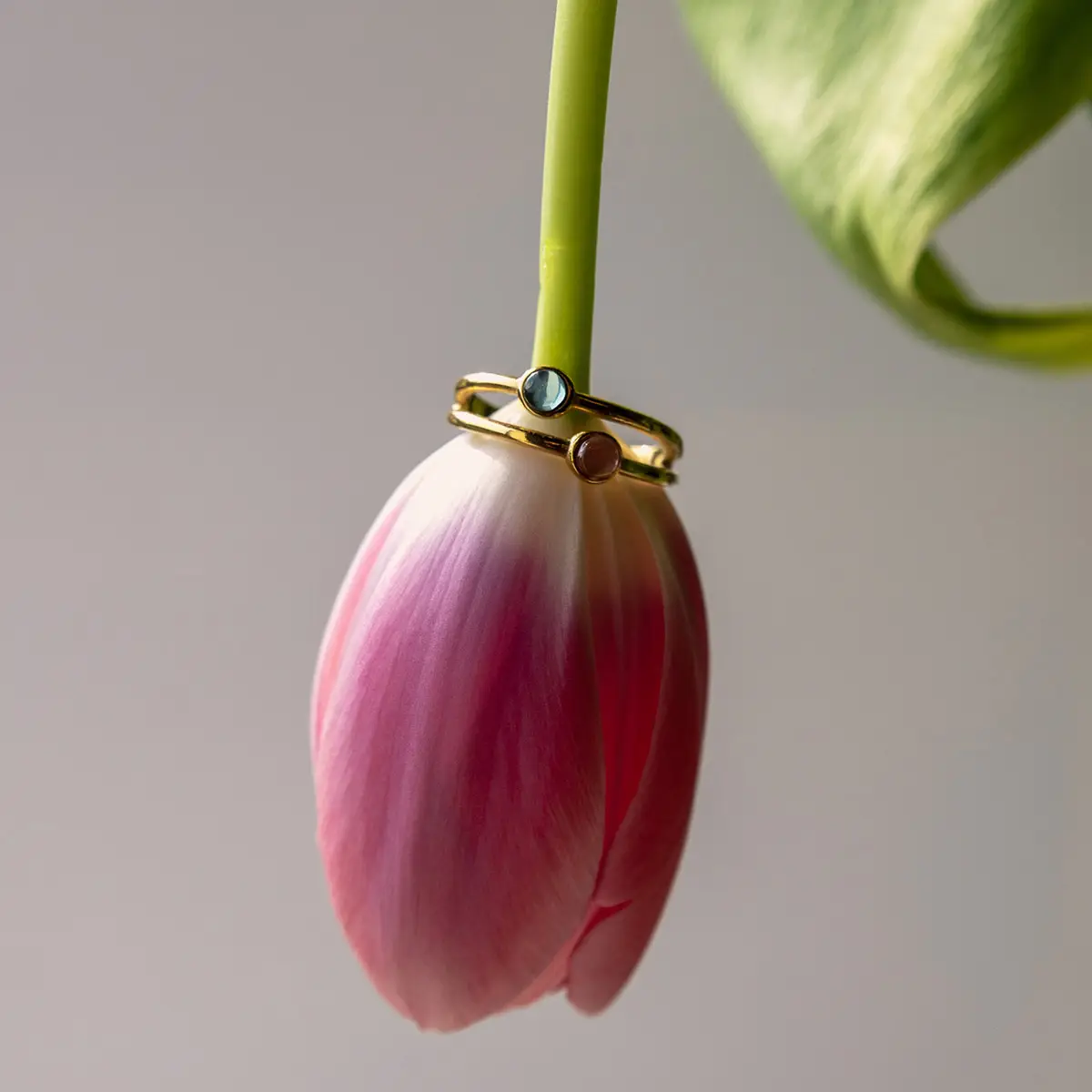 vinoos-ode-to-green-doppelring-gold-t-rkis-rosa image 5